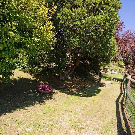 Apartament Monolocale Fattorialmare Viola Camogli Zewnętrze zdjęcie
