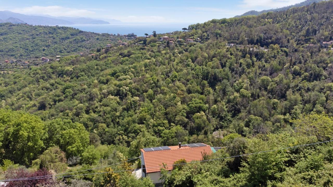 Apartament Monolocale Fattorialmare Viola Camogli Zewnętrze zdjęcie