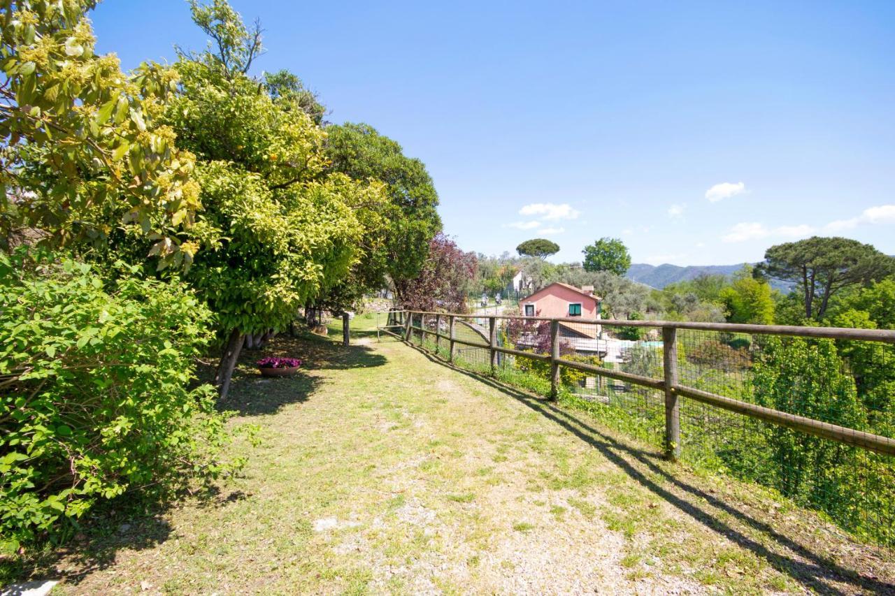 Apartament Monolocale Fattorialmare Viola Camogli Zewnętrze zdjęcie